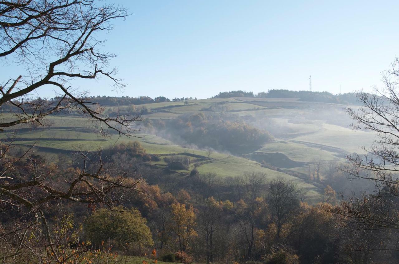 Gites Le Chene & Le Tilleul Saint-Romain-de-Lerps Kültér fotó